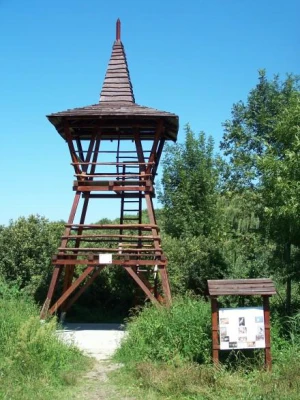 Törek Nature Reserve
