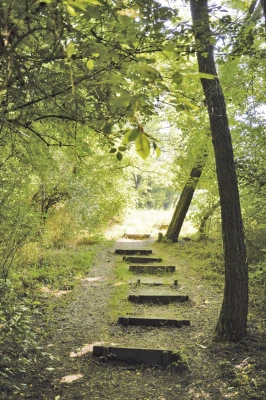 Törek Nature Reserve