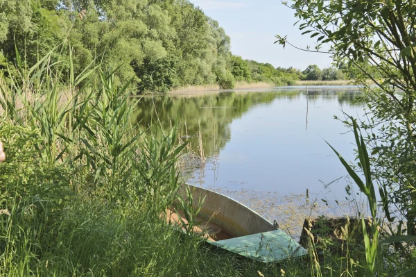 Törek Nature Reserve