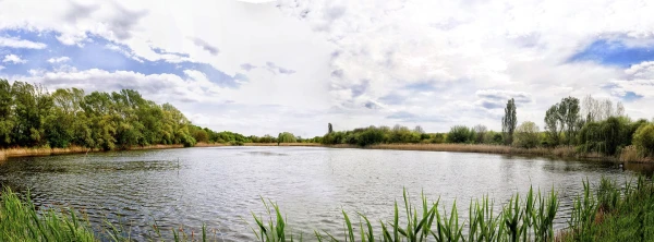 Törek Nature Reserve