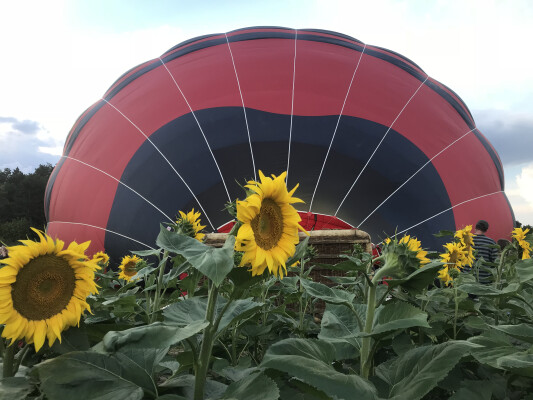 Balaton Ballooning - hőlégballonos élményrepülések a Balatonnál