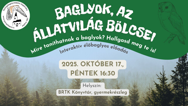 Baglyok, az állatvilág bölcsei - Interaktív élőbaglyos előadás