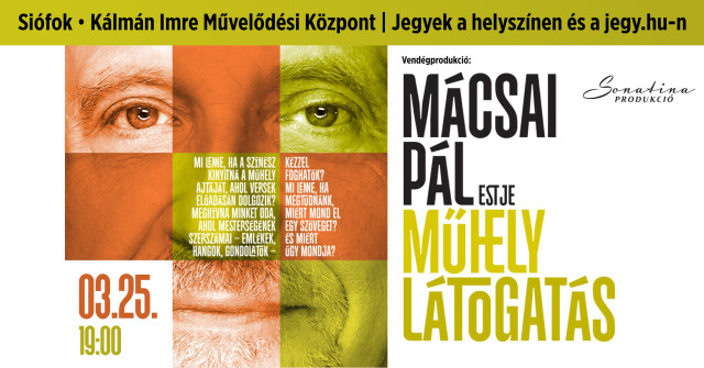 Vendégprodukció : Műhelylátogatás - Mácsai Pál estje