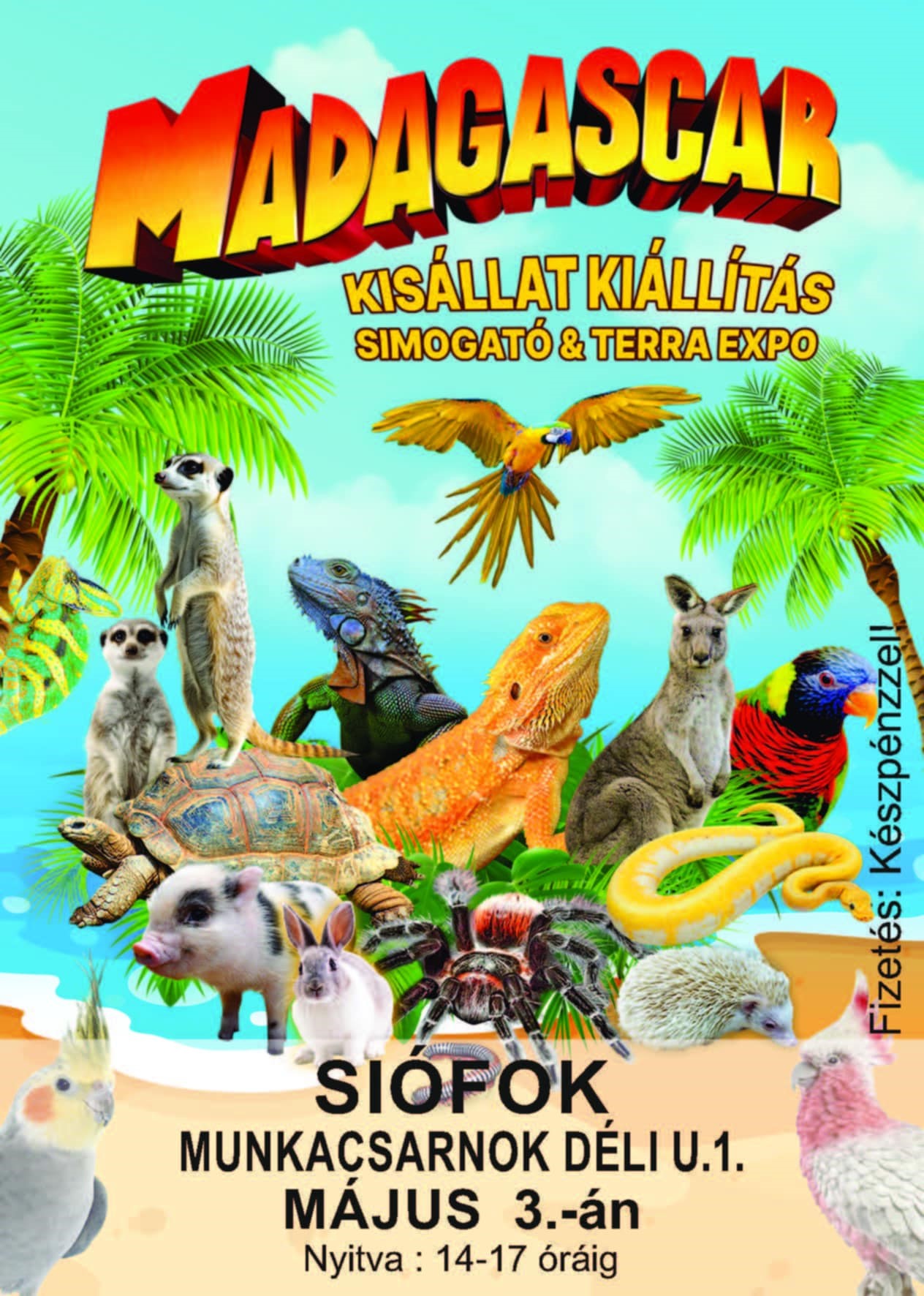 Madagascar kisállat kiállítás