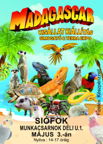 Madagascar kisállat kiállítás