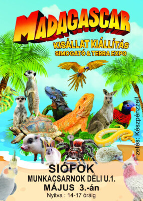 Madagascar kisállat kiállítás