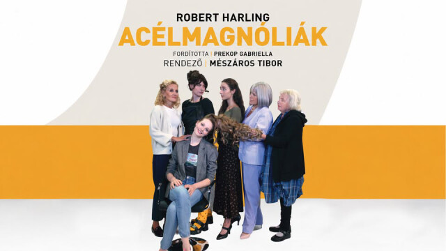 Csiky Gergely Színház - Acélmagnóliák
