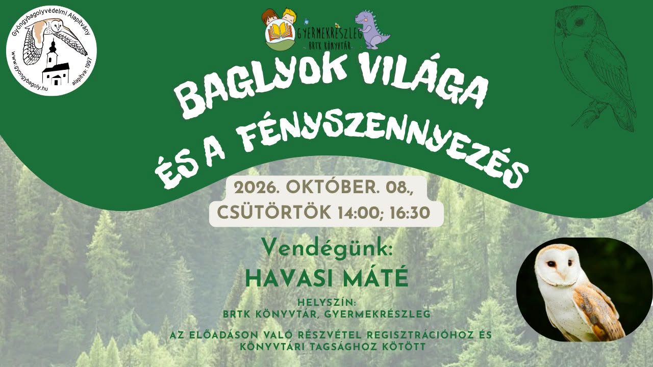 A baglyok világa és a fényszennyezés