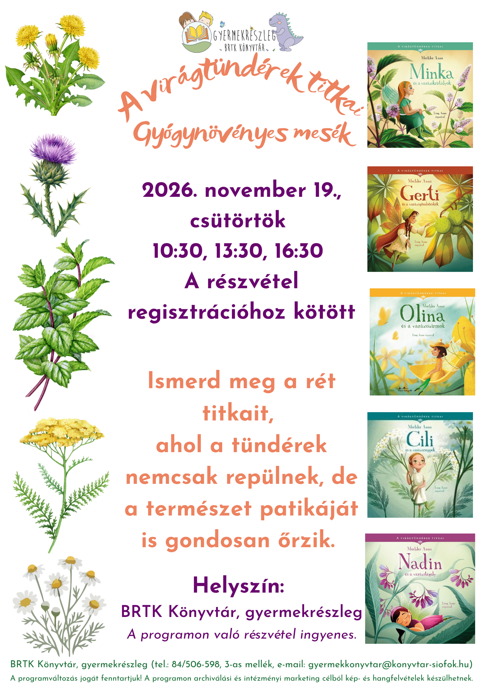 A virágtündérek titkai – gyógynövényes mesék