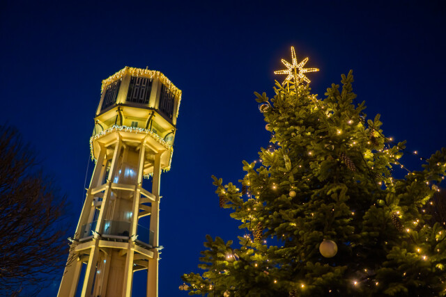 Winter Wonder in Siófok