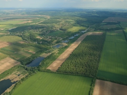 Természetvédelmi terület