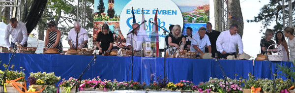 „Szent István népe vagyunk mindahányan”