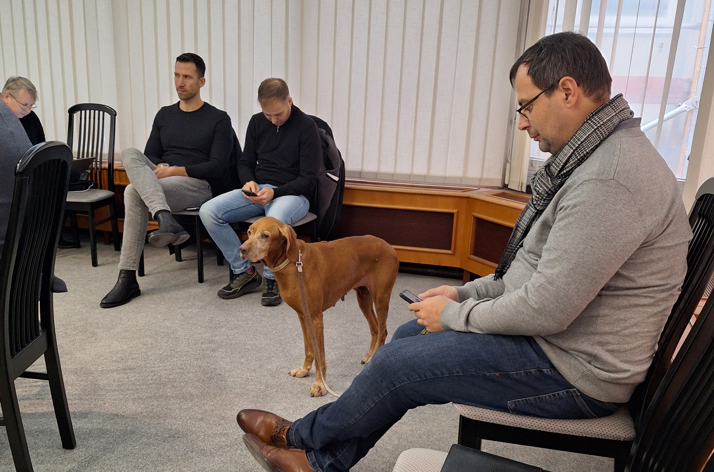 Galerius, Plázs, Csárdás, kutyás strand