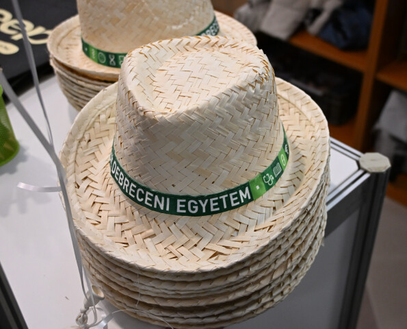 Siófoki campus: közel 600 új jelentkező