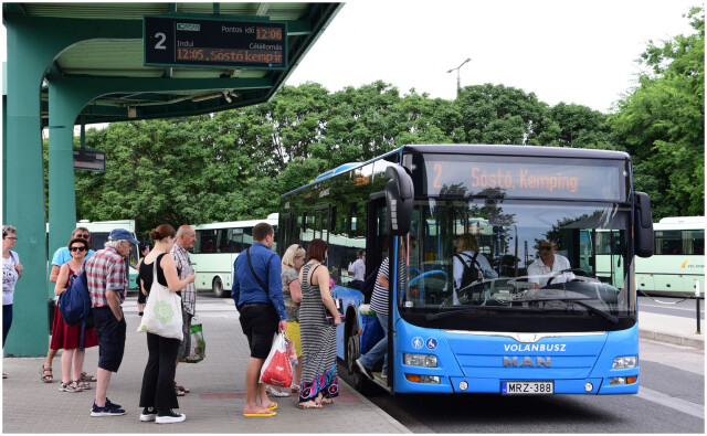 Ingyenes temetői buszjáratok